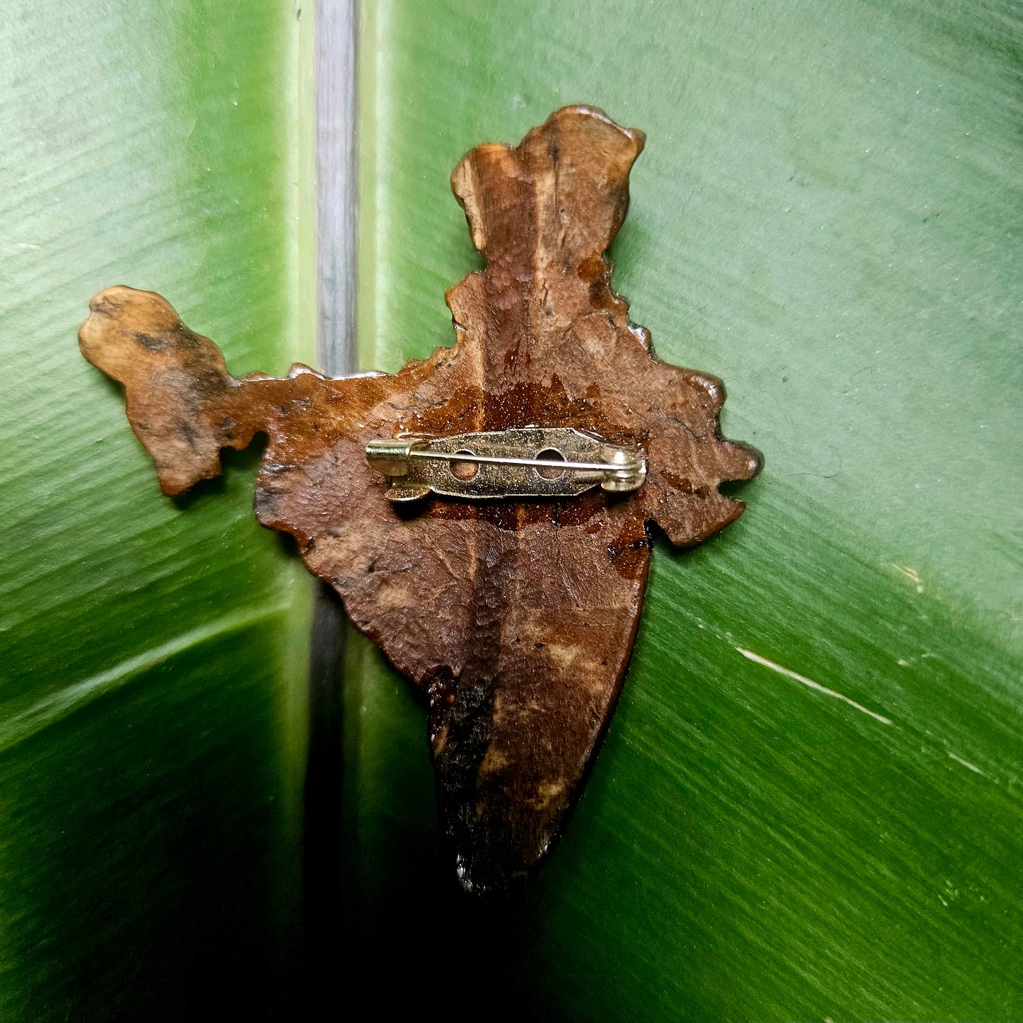 A brooch with the shape of India's map made from coconut shell.