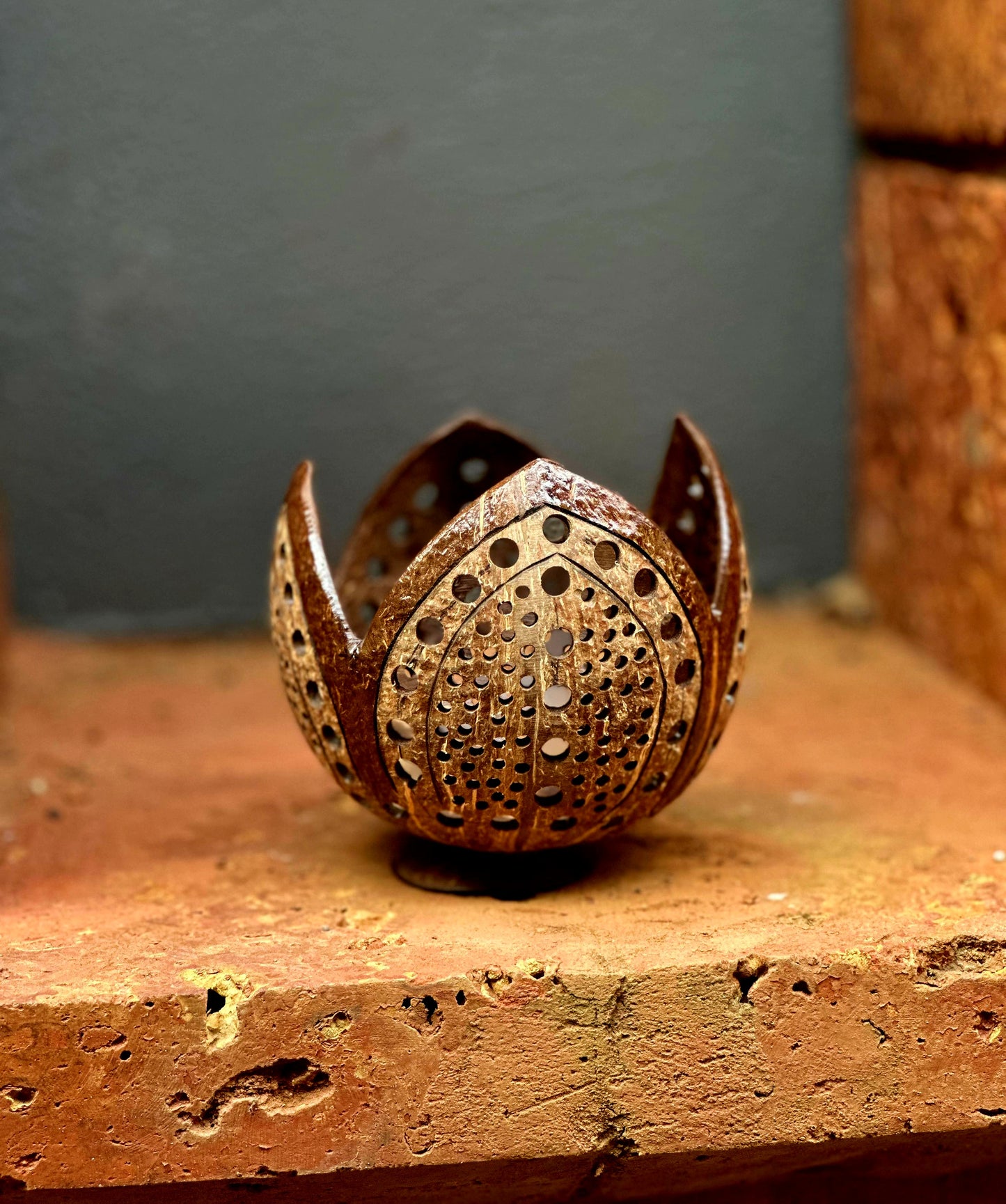 COCOLOTUS ECOPLANTERS