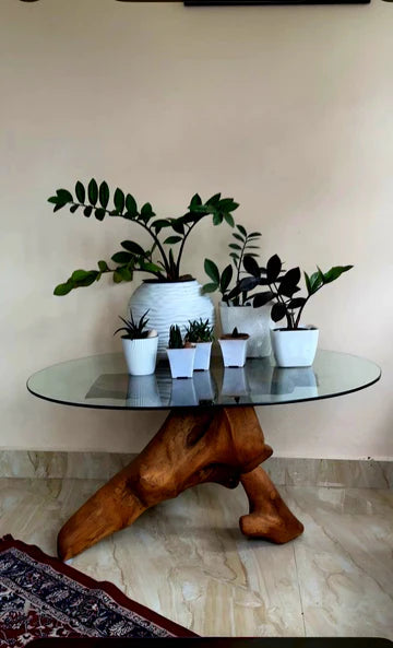 When Nature Creates, We Curate: Timeless Luxuria by MIRAL INDIA's Root Decor