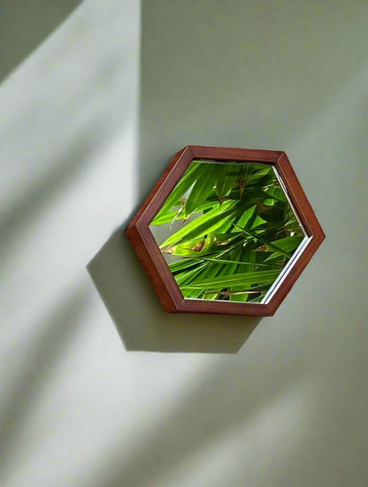 Geometra Honeycomb 3D Collage Teak Mirror (Set Of 3)