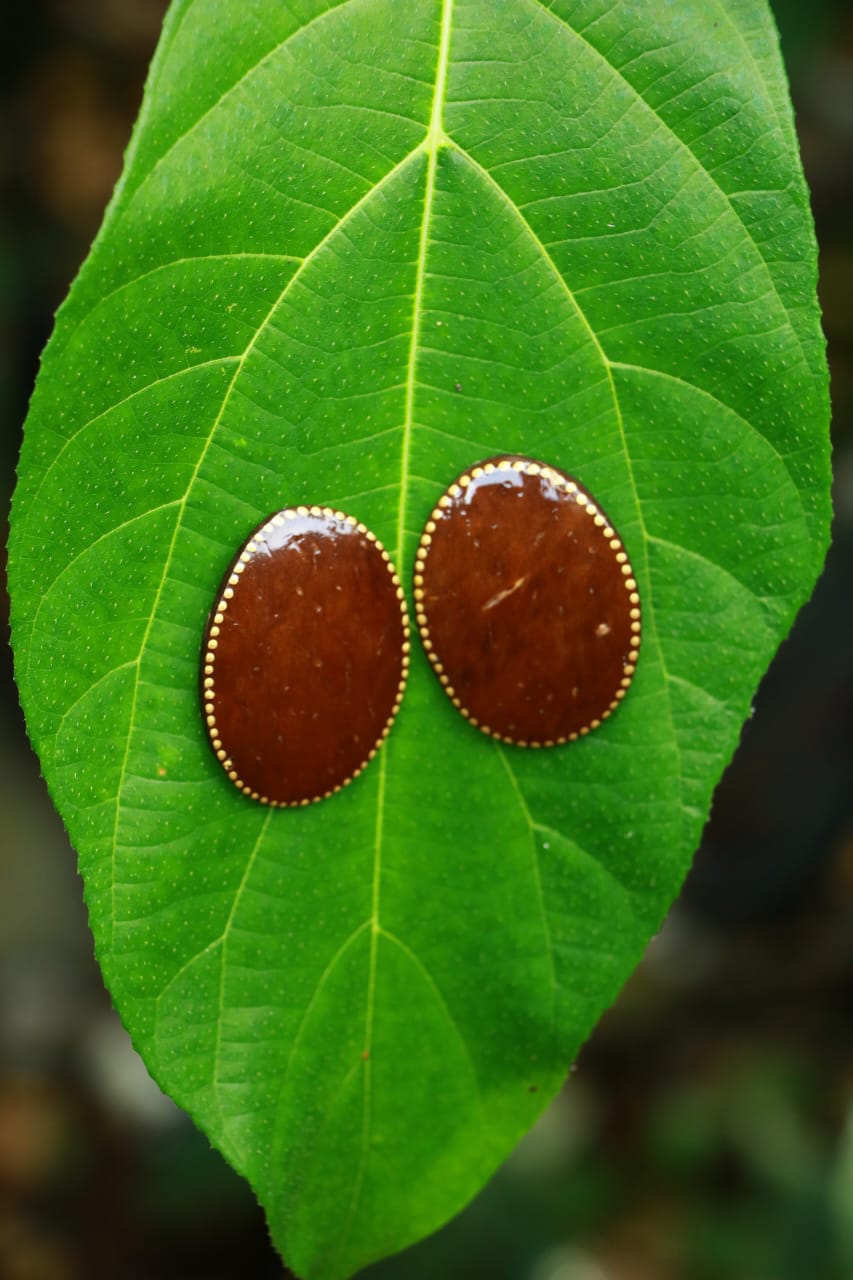 MIRAL INDIA AGATE INSPIRED EARRINGS