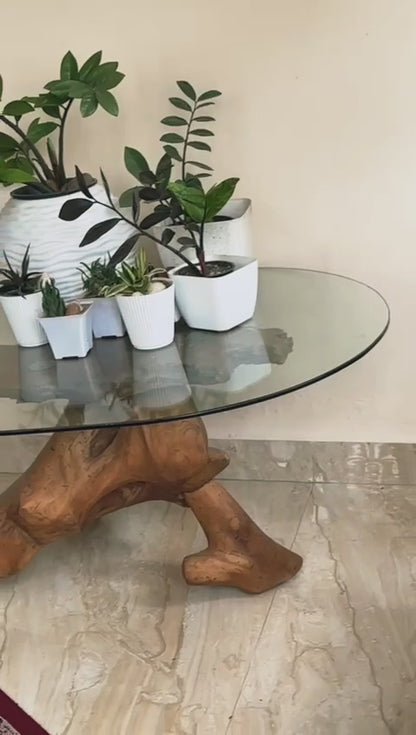 Glass table with wooden base and potted plants on a light-colored floor.