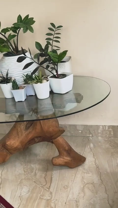 Glass table with wooden base and potted plants on a light-colored floor.