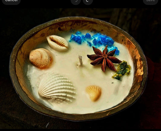 Decorative dish with shells, star anise, and blue flowers on a dark background
