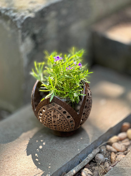 COCOLOTUS ECOPLANTERS